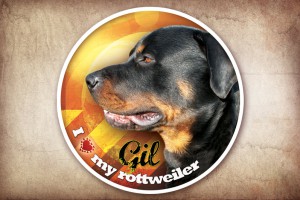 Samolepka na auto, I love my rottweiler Gill