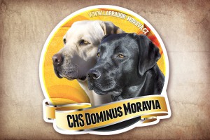 Samolepky na auto pro CHS Dominus Moravia
