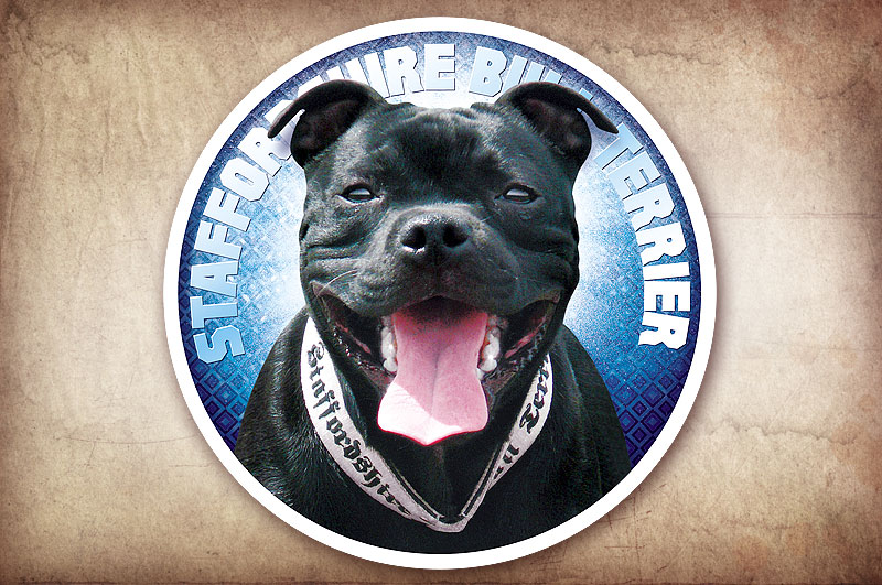Staffordshire Bull Terrier – samolepky na auto